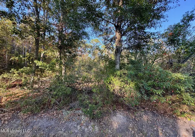 Photo 3 of Land for sale at Sycamore St, Bay Saint Louis, MS 39520 | MLS# 4132129 | Listing updated on 2026-03-30
