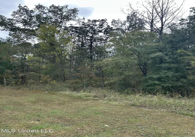 Photo 1 of Land for sale at Tbd Old Fannin Rd, Brandon, MS 39047 | MLS# 4132277 | Listing updated on 2026-07-09