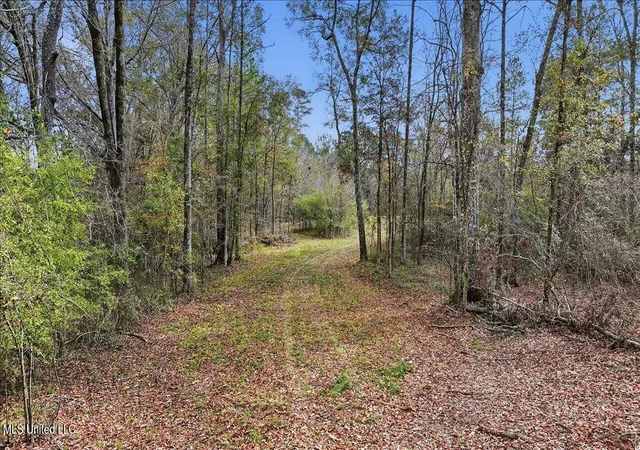Homes for sale in Florence, MS | Highland Dr Dr, Florence, MS 39073 | MLS# 4132510