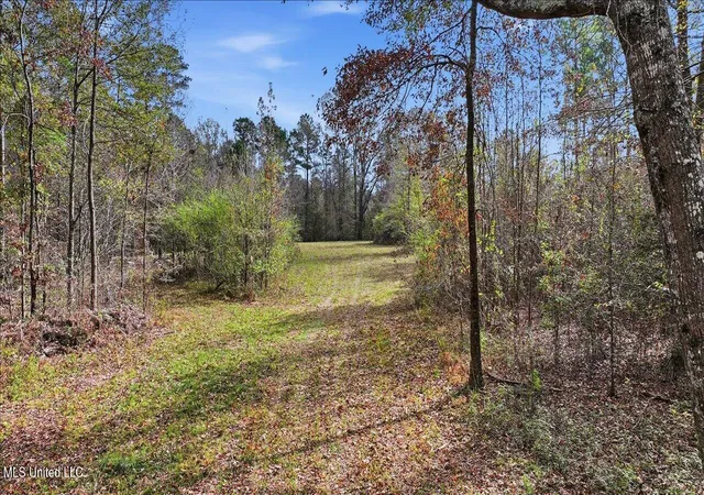 Homes for sale in Florence, MS | Highland Dr Dr, Florence, MS 39073 | MLS# 4132510
