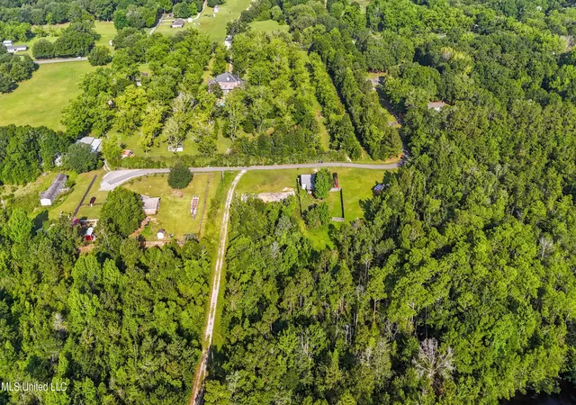 Photo 4 of Land for sale at 261 Acres Brinkman Rd, Moss Point, MS 39562 | MLS# 4132849 | Listing updated on 2026-09-17