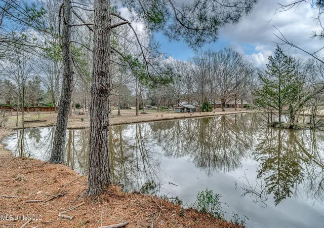 28th image of 116 Anna Cove Cove, Madison, MS 39110 | MLS# 4133205