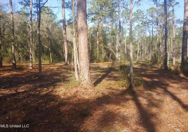 Photo 3 of Land for sale at Nhn E Crazy Horse Dr, Kiln, MS 39556 | MLS# 4133430 | Listing updated on 2026-08-17