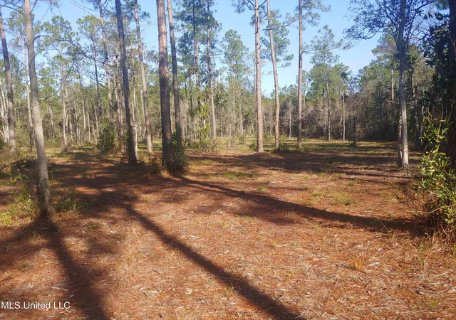 Photo 3 of Land for sale at Nhn E Crazy Horse Dr, Kiln, MS 39556 | MLS# 4133430 | Listing updated on 2026-08-17