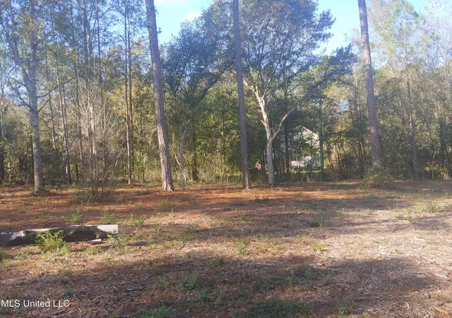 Photo 4 of Land for sale at Nhn E Crazy Horse Dr, Kiln, MS 39556 | MLS# 4133430 | Listing updated on 2026-08-17