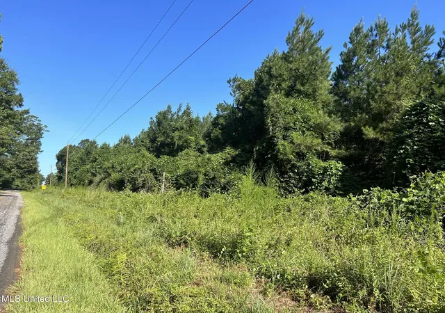 Homes for sale in Bogue Chitto, MS | Se Mccullough Rd, Bogue Chitto, MS 39629 | MLS# 4133575