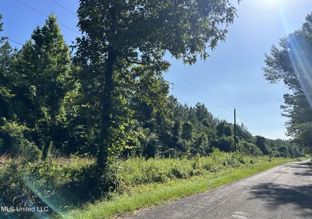 Homes for sale in Bogue Chitto, MS | Se Mccullough Rd, Bogue Chitto, MS 39629 | MLS# 4133575