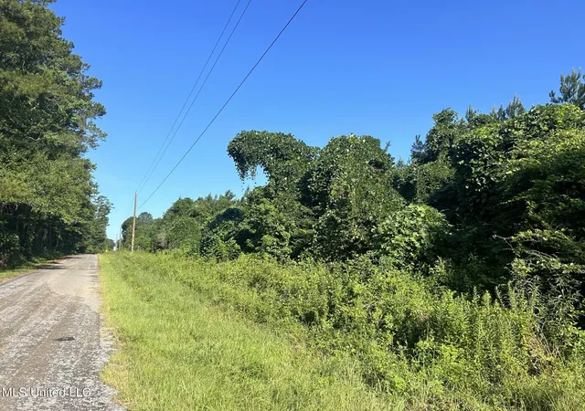 Homes for sale in Bogue Chitto, MS | Se Mccullough Rd, Bogue Chitto, MS 39629 | MLS# 4133575