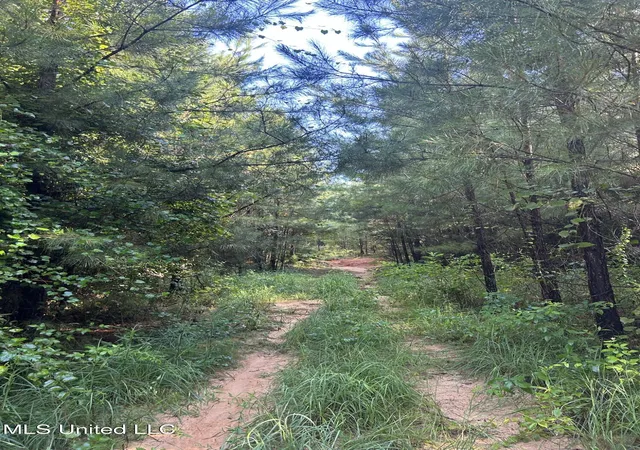 Homes for sale in Bogue Chitto, MS | Se Mccullough Rd, Bogue Chitto, MS 39629 | MLS# 4133575