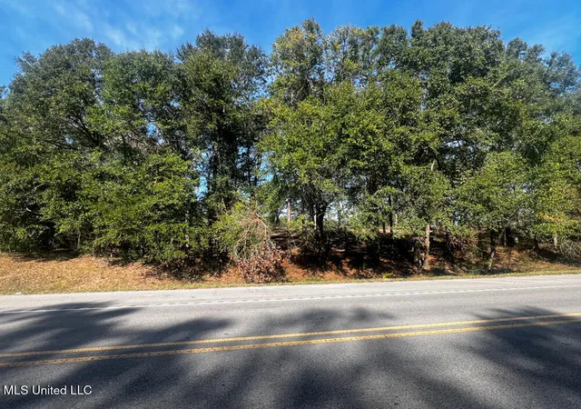 1st image of E Hwy 198, Lucedale, MS 39452 | MLS# 4133990