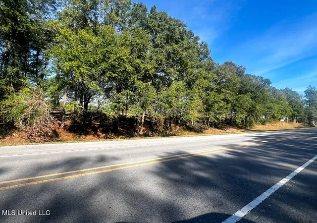 2nd image of E Hwy 198, Lucedale, MS 39452 | MLS# 4133990