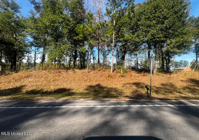 3rd image of E Hwy 198, Lucedale, MS 39452 | MLS# 4133990