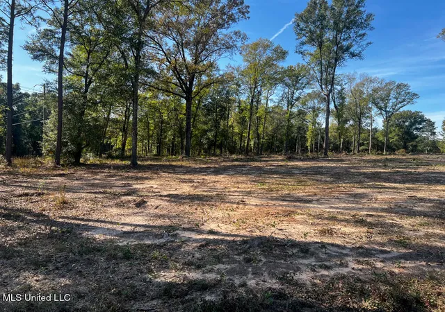 4th image of E Hwy 198, Lucedale, MS 39452 | MLS# 4133990