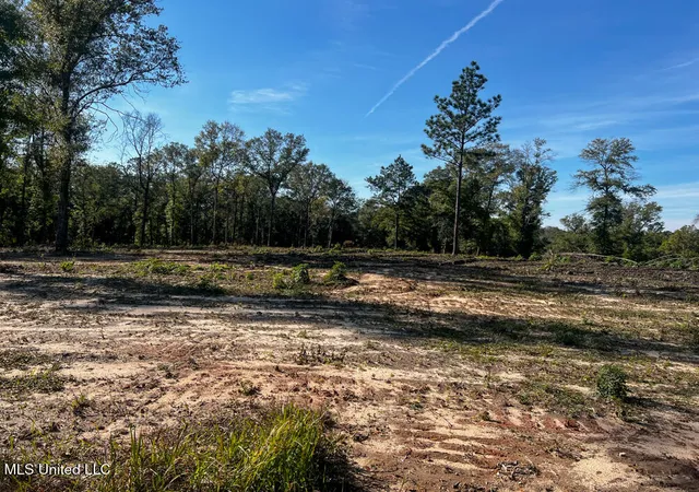 5th image of E Hwy 198, Lucedale, MS 39452 | MLS# 4133990
