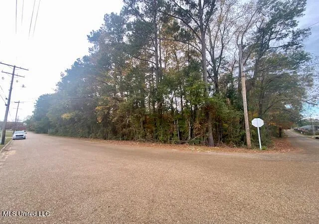Photo 1 of Land for sale at 0 Llewellyn Ave, Mc Comb, MS 39648 | MLS# 4133788 | Listing updated on 2026-03-30