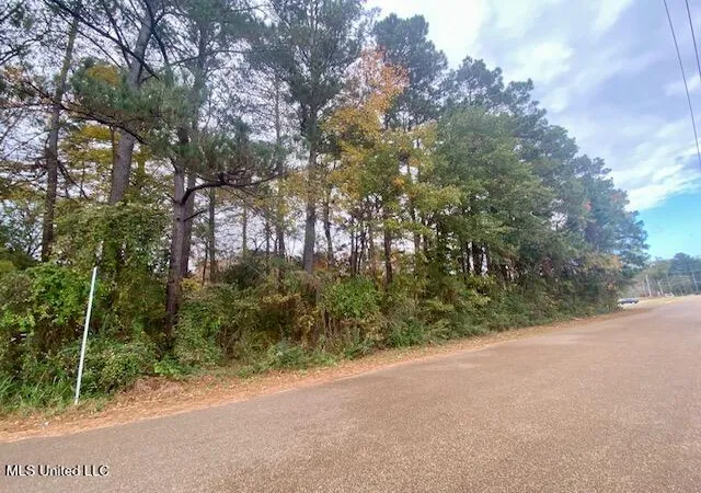 Photo 2 of Land for sale at 0 Llewellyn Ave, Mc Comb, MS 39648 | MLS# 4133788 | Listing updated on 2026-03-30