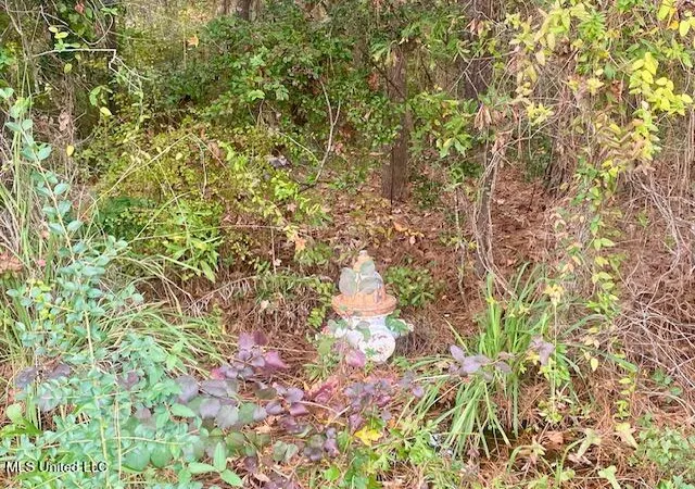 Photo 4 of Land for sale at 0 Llewellyn Ave, Mc Comb, MS 39648 | MLS# 4133788 | Listing updated on 2026-03-30