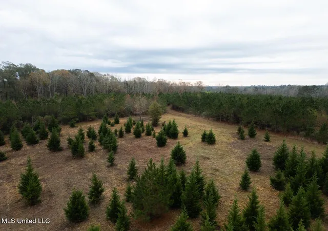 Homes for sale in Liberty, MS | 3448 Lower Centreville Rd, Liberty, MS 39645 | MLS# 4133977