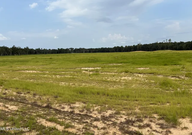 Photo 1 of Land for sale at Lot 5 Hwy 43, Kiln, MS 39556 | MLS# 4134129 | Listing updated on 2026-05-19