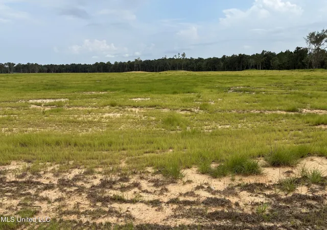 Photo 2 of Land for sale at Lot 5 Hwy 43, Kiln, MS 39556 | MLS# 4134129 | Listing updated on 2026-05-19