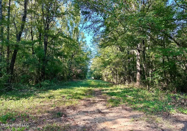 Homes for sale in Brookhaven, MS | Tbd Ne Williams St, Brookhaven, MS 39601 | MLS# 4134235