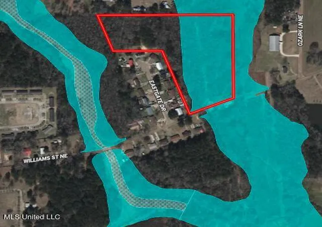 Homes for sale in Brookhaven, MS | Tbd Ne Williams St, Brookhaven, MS 39601 | MLS# 4134235