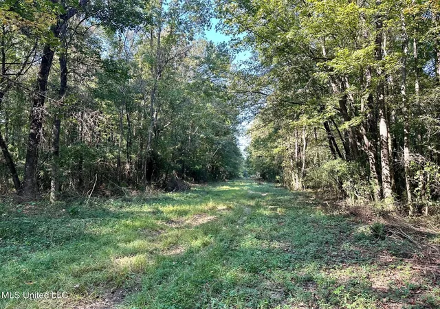 Homes for sale in Brookhaven, MS | Tbd Ne Williams St, Brookhaven, MS 39601 | MLS# 4134235