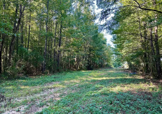 Homes for sale in Brookhaven, MS | Tbd Ne Williams St, Brookhaven, MS 39601 | MLS# 4134235