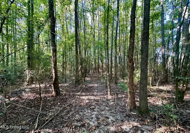 Homes for sale in Brookhaven, MS | Tbd Ne Williams St, Brookhaven, MS 39601 | MLS# 4134235