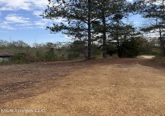 Homes for sale in Brookhaven, MS | 393 Sw Cripple Ln, Brookhaven, MS 39601 | MLS# 4134255