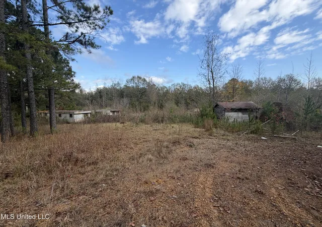 Homes for sale in Brookhaven, MS | 393 Sw Cripple Ln, Brookhaven, MS 39601 | MLS# 4134255