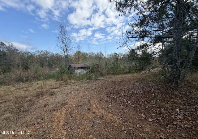 Homes for sale in Brookhaven, MS | 393 Sw Cripple Ln, Brookhaven, MS 39601 | MLS# 4134255