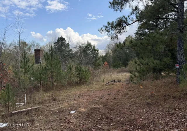 Homes for sale in Brookhaven, MS | 393 Sw Cripple Ln, Brookhaven, MS 39601 | MLS# 4134255