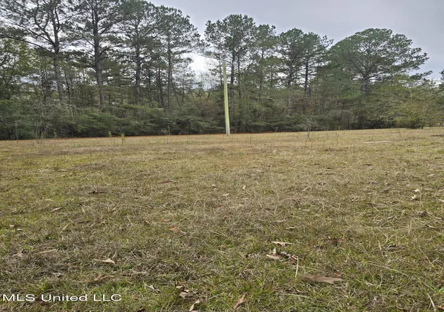 Photo 3 of Single family home for sale at 46 Matilda Ln, Newhebron, MS 39140 | MLS# 4134352 | Listing updated on 2026-09-02