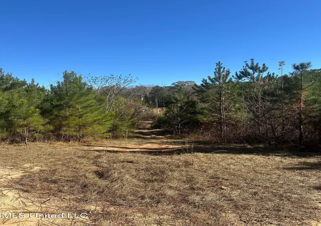 Homes for sale in Mc Comb, MS | Deer Ridge Rd, Mc Comb, MS 39648 | MLS# 4134419