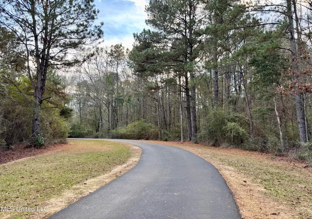 Homes for sale in Jayess, MS | 1614 Hwy 583, Jayess, MS 39641 | MLS# 4134742