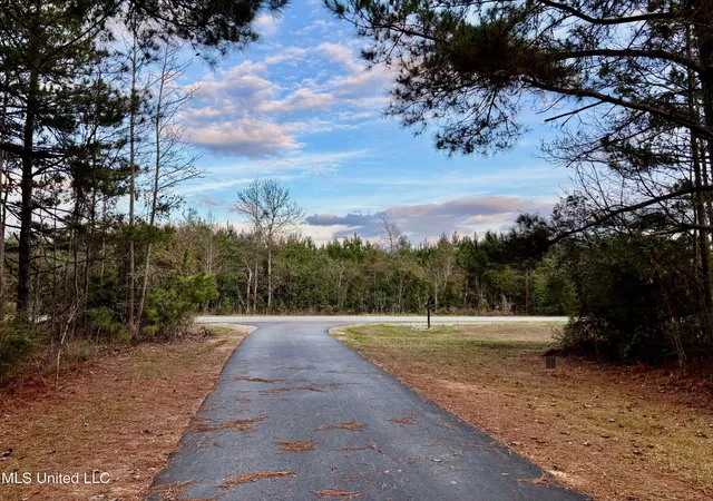Homes for sale in Jayess, MS | 1614 Hwy 583, Jayess, MS 39641 | MLS# 4134742