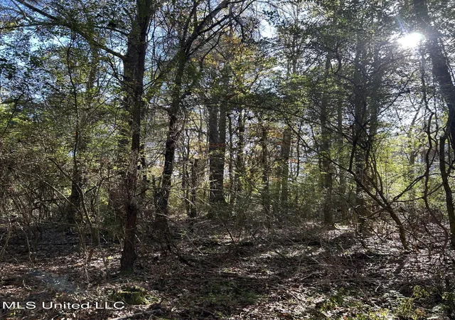 Homes for sale in Magnolia, MS | Dwain Rd, Magnolia, MS 39652 | MLS# 4134767