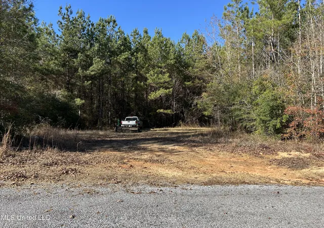 Homes for sale in Magnolia, MS | Dwain Rd, Magnolia, MS 39652 | MLS# 4134767