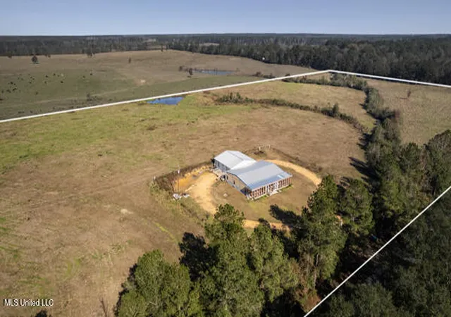 Homes for sale in Bogue Chitto, MS | 2545 Pleasant Grove Rd, Bogue Chitto, MS 39629 | MLS# 4134867