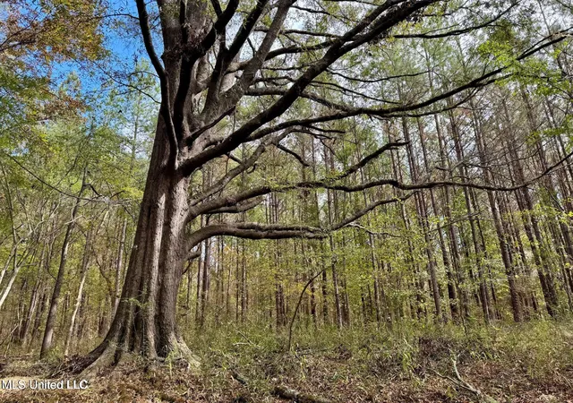 Photo 1 of Land for sale at Yandell Rd, Canton, MS 39046 | MLS# 4135089 | Listing updated on 2026-09-11