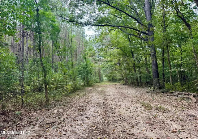 Photo 1 of Land for sale at Yandell Rd, Canton, MS 39046 | MLS# 4135089 | Listing updated on 2026-09-11