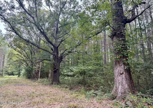 Photo 3 of Land for sale at Yandell Rd, Canton, MS 39046 | MLS# 4135089 | Listing updated on 2026-09-11