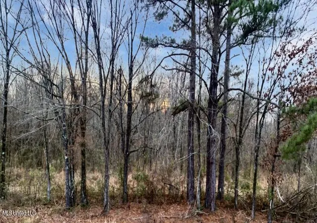 Photo 3 of Land for sale at 1178 Stump Ridge Rd, Brandon, MS 39047 | MLS# 4135326 | Listing updated on 2026-07-04
