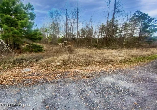 Photo 4 of Land for sale at 1178 Stump Ridge Rd, Brandon, MS 39047 | MLS# 4135326 | Listing updated on 2026-07-04