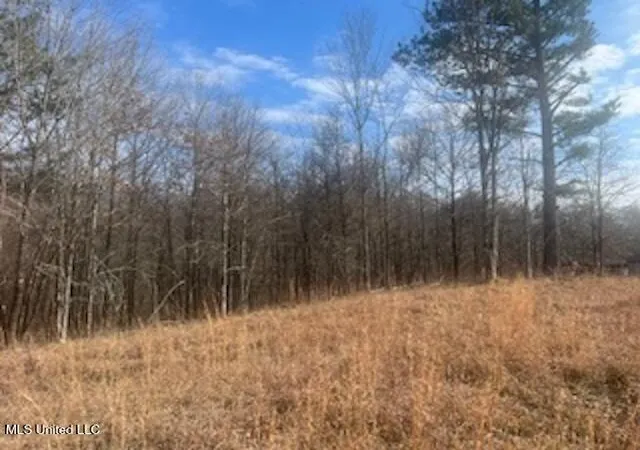Photo 1 of Land for sale at 0 S Red Banks Rd, Byhalia, MS 38611 | MLS# 4135434 | Listing updated on 2026-08-31