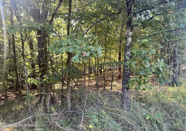 Photo 2 of Land for sale at 0 S Red Banks Rd, Byhalia, MS 38611 | MLS# 4135434 | Listing updated on 2026-08-31