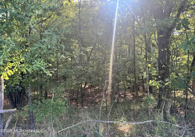 Photo 3 of Land for sale at 0 S Red Banks Rd, Byhalia, MS 38611 | MLS# 4135434 | Listing updated on 2026-08-31