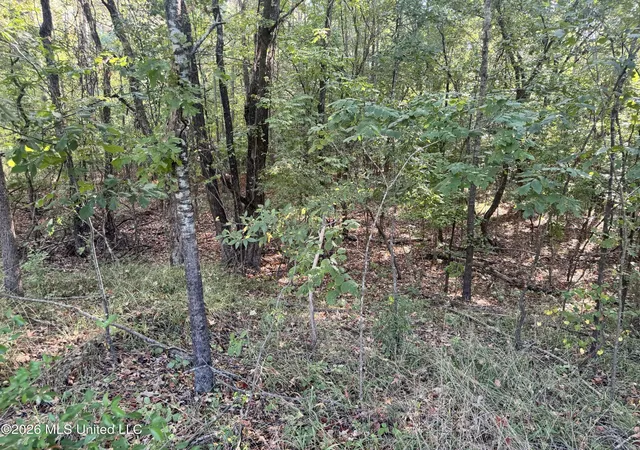 Photo 3 of Land for sale at 0 S Red Banks Rd, Byhalia, MS 38611 | MLS# 4135434 | Listing updated on 2026-08-31