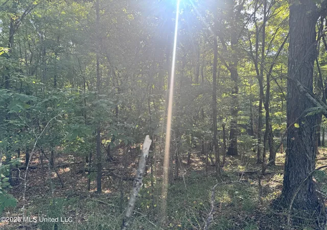 Photo 4 of Land for sale at 0 S Red Banks Rd, Byhalia, MS 38611 | MLS# 4135434 | Listing updated on 2026-08-31